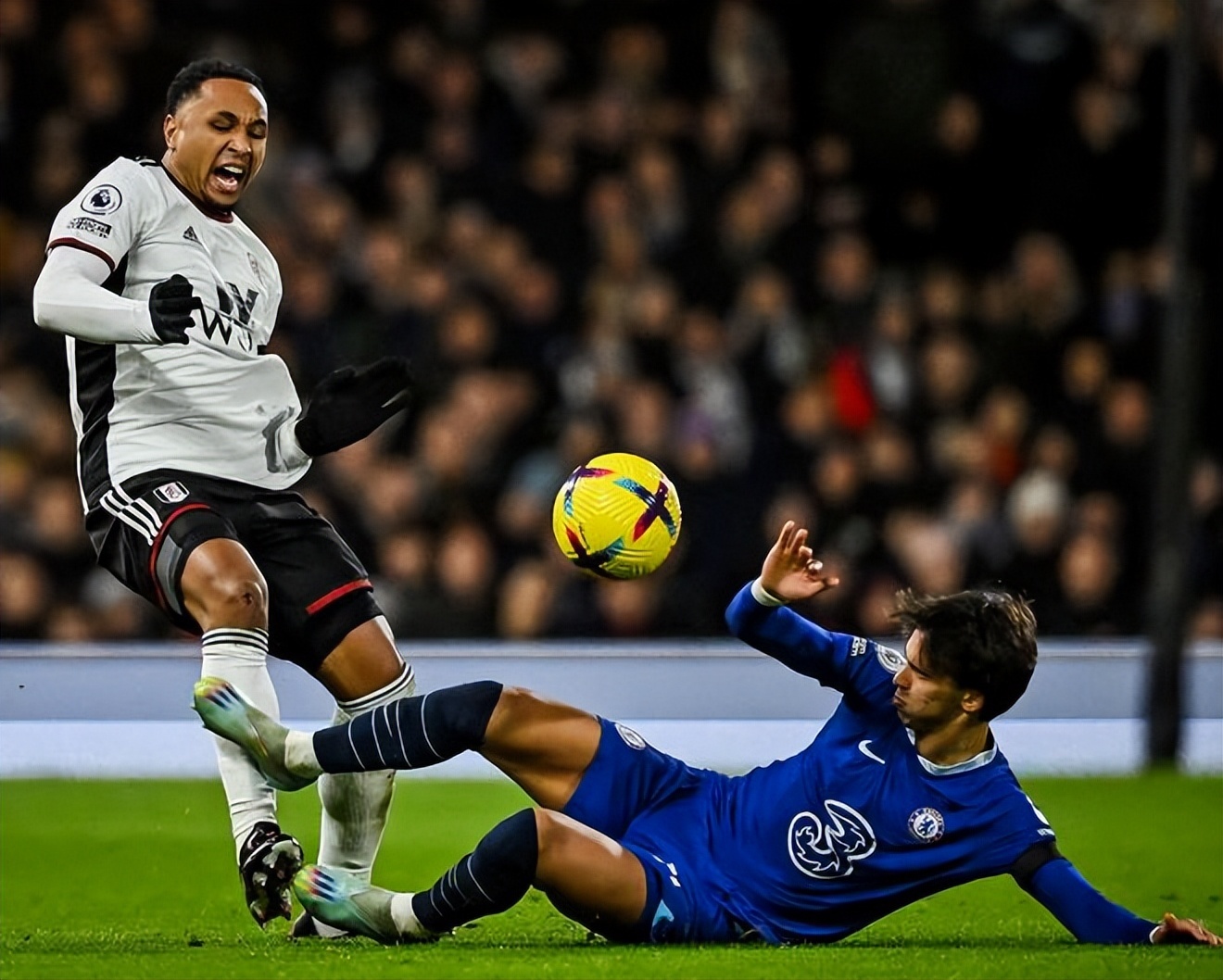 胡麻油加工设备如何维护？